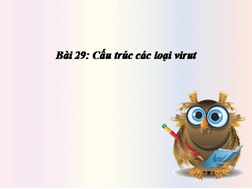 Bài 29. Cấu trúc các loại virut