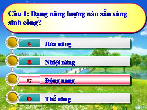 Bài 14. Enzim và vai trò của enzim trong quá trình chuyển hóa vật chất