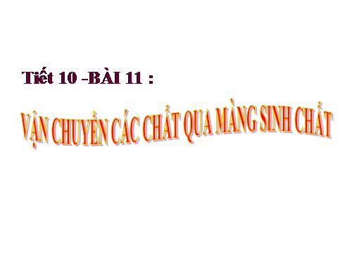 Bài 11. Vận chuyển các chất qua màng sinh chất