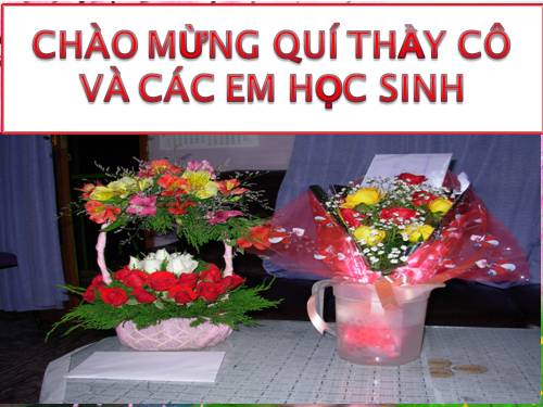 Bài 11. Vận chuyển các chất qua màng sinh chất