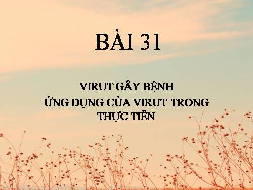 Bài 31. Virut gây bệnh, ứng dụng của virut trong thực tiễn