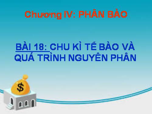 Bài 18. Chu kì tế bào và quá trình nguyên phân