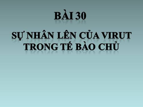 Bài 30. Sự nhân lên của virut trong tế bào chủ