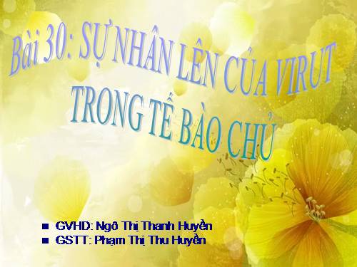 Bài 30. Sự nhân lên của virut trong tế bào chủ