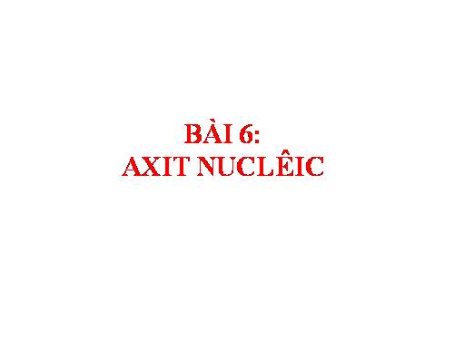 Bài 6. Axit nuclêic