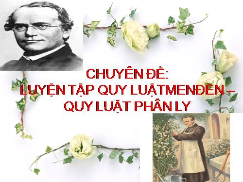 luyện tập quy luật phân ly