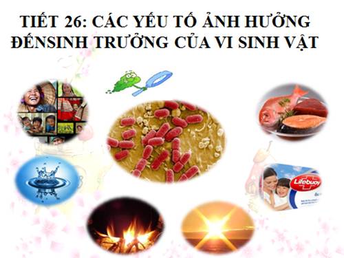 Bài 27. Các yếu tố ảnh hưởng đến sinh trưởng của vi sinh vật