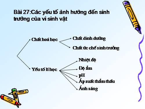 Bài 27. Các yếu tố ảnh hưởng đến sinh trưởng của vi sinh vật