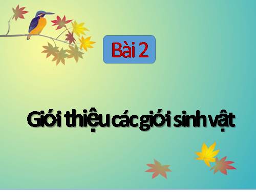 Bài 2. Các giới sinh vật