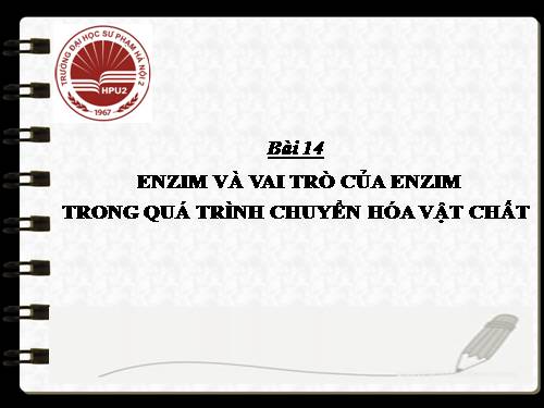 Bài 14. Enzim và vai trò của enzim trong quá trình chuyển hóa vật chất