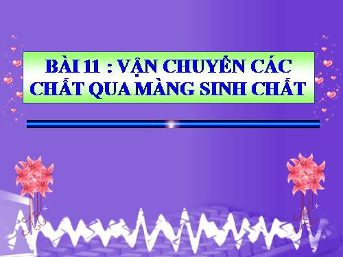 Bài 11. Vận chuyển các chất qua màng sinh chất