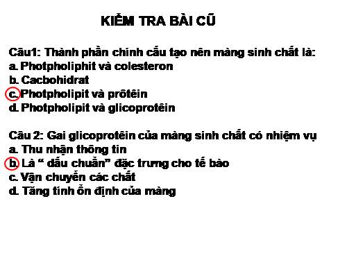 Bài 11. Vận chuyển các chất qua màng sinh chất