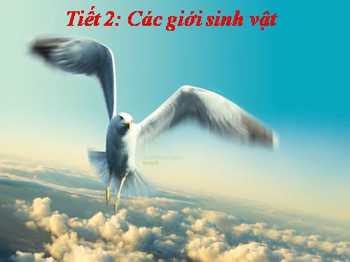 Bài 2. Các giới sinh vật