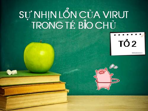 Bài 30. Sự nhân lên của virut trong tế bào chủ