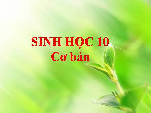 Bài 25. Sinh trưởng của vi sinh vật