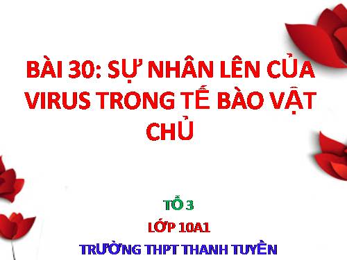 Bài 30. Sự nhân lên của virut trong tế bào chủ