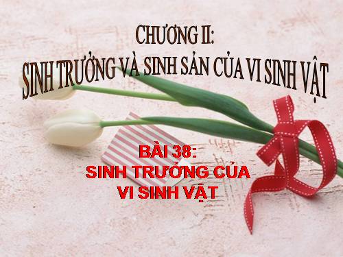 Bài 25. Sinh trưởng của vi sinh vật