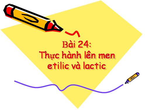 Bài 24. Thực hành: Lên men êtilic và lactic