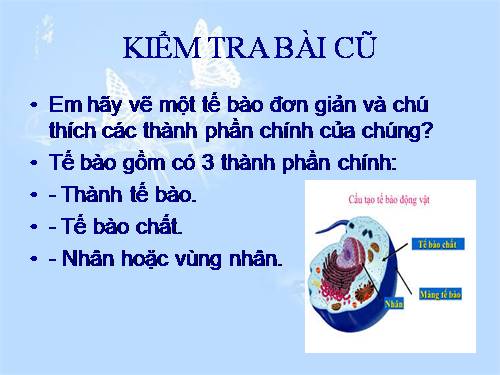 Bài 29. Cấu trúc các loại virut