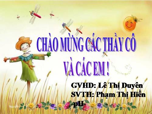 Bài 29. Cấu trúc các loại virut