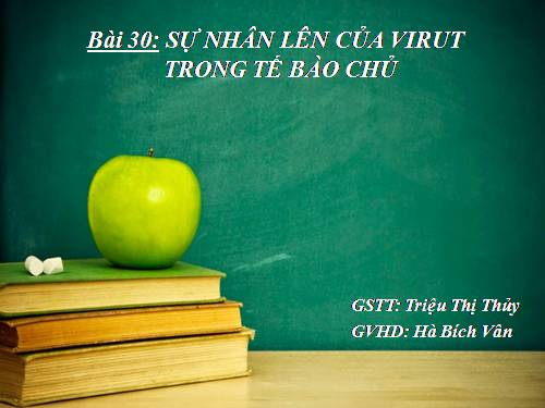 Bài 30. Sự nhân lên của virut trong tế bào chủ