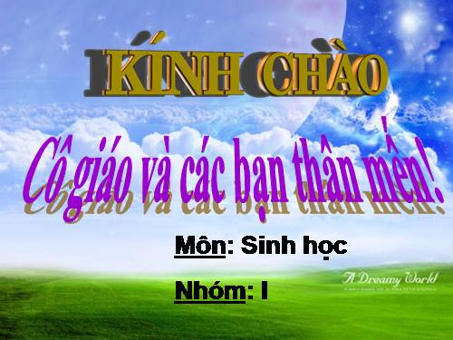 Bài 32. Bệnh truyền nhiễm và miễn dịch