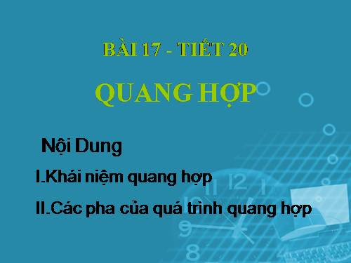 Bài 17. Quang hợp