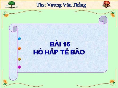 Bài 16. Hô hấp tế bào