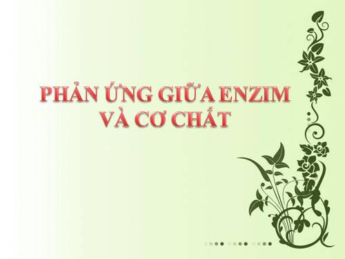 Bài 14. Enzim và vai trò của enzim trong quá trình chuyển hóa vật chất