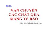 Bài 11. Vận chuyển các chất qua màng sinh chất