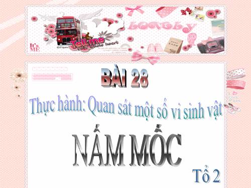 Bài 28. Thực hành: Quan sát một số vi sinh vật