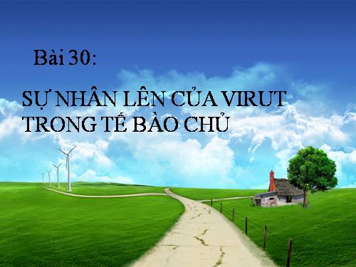 Bài 30. Sự nhân lên của virut trong tế bào chủ