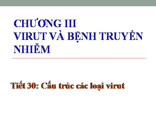 Bài 29. Cấu trúc các loại virut