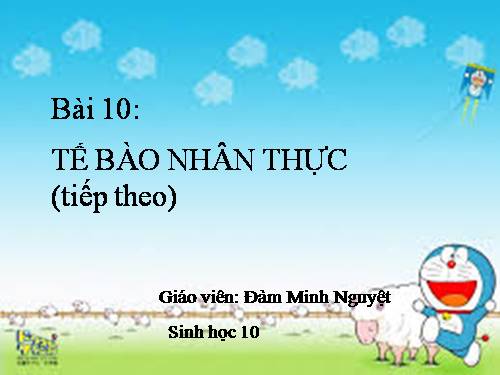 Bài 10. Tế bào nhân thực (tiếp theo)