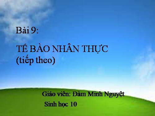 Bài 9. Tế bào nhân thực (tiếp theo)