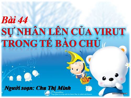 Bài 30. Sự nhân lên của virut trong tế bào chủ