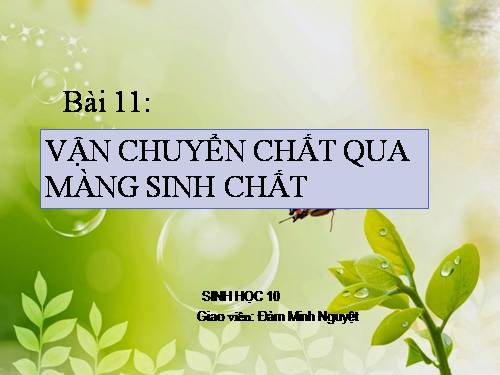 Bài 11. Vận chuyển các chất qua màng sinh chất