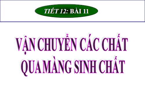 Bài 11. Vận chuyển các chất qua màng sinh chất