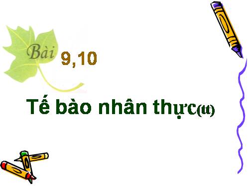 Bài 9. Tế bào nhân thực (tiếp theo)