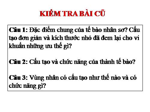 Bài 8. Tế bào nhân thực