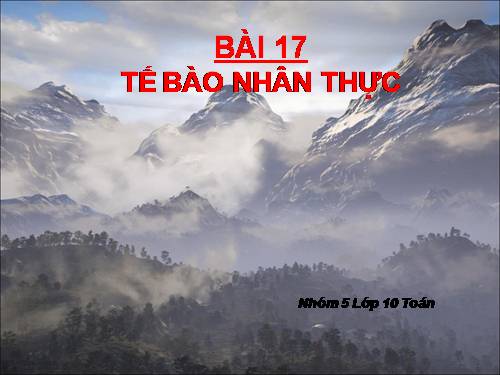 Bài 9. Tế bào nhân thực (tiếp theo)