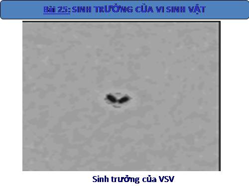 Bài 25. Sinh trưởng của vi sinh vật