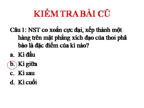 Bài 19. Giảm phân