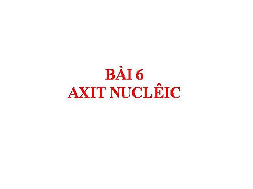 Bài 6. Axit nuclêic