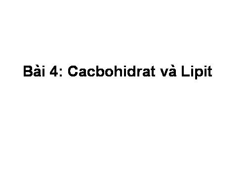 Bài 4. Cacbohiđrat và lipit