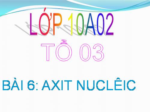 Bài 6. Axit nuclêic