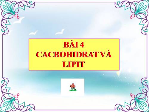 Bài 4. Cacbohiđrat và lipit