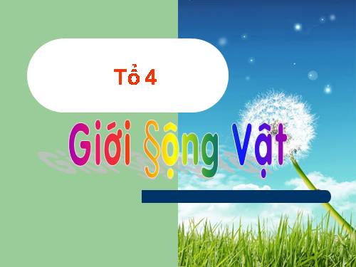 Bài 2. Các giới sinh vật