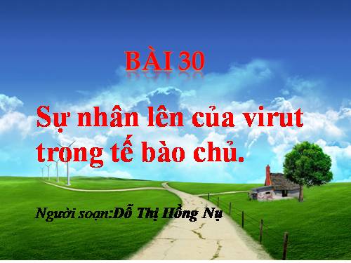 Bài 30. Sự nhân lên của virut trong tế bào chủ