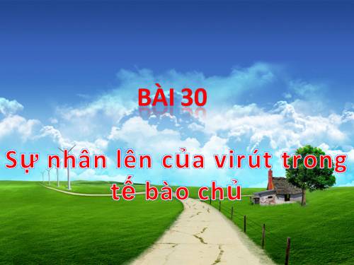 Bài 30. Sự nhân lên của virut trong tế bào chủ